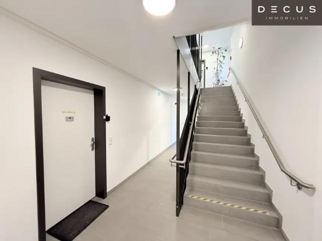 Wohnung mieten in Baden, Niederösterreich