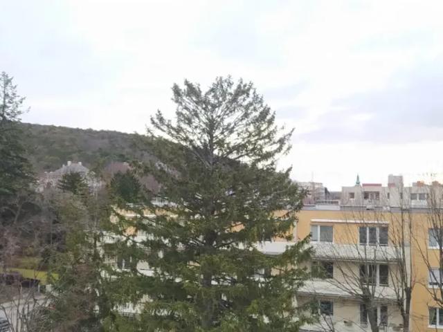 Wohnung mieten in Baden, Niederösterreich