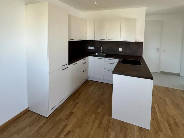 Wohnung mieten in Bisamberg