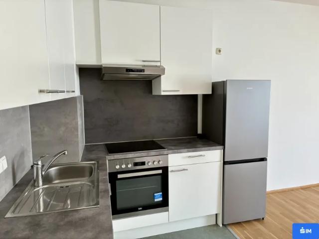 Wohnung mieten in Bruck an der Mur, Steiermark