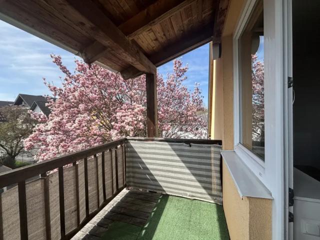 Wohnung mieten in Feldbach, Steiermark