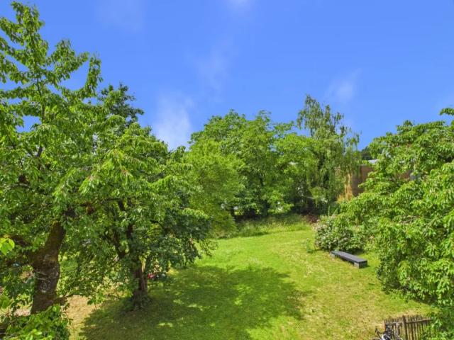 Wohnung mieten in Feldkirch-Innenstadt, Feldkirch