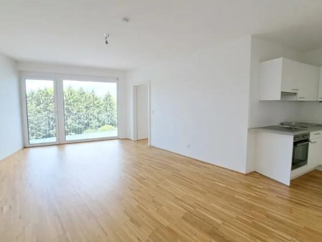 Wohnung mieten in Andritz, Gersdorf-Feistritz