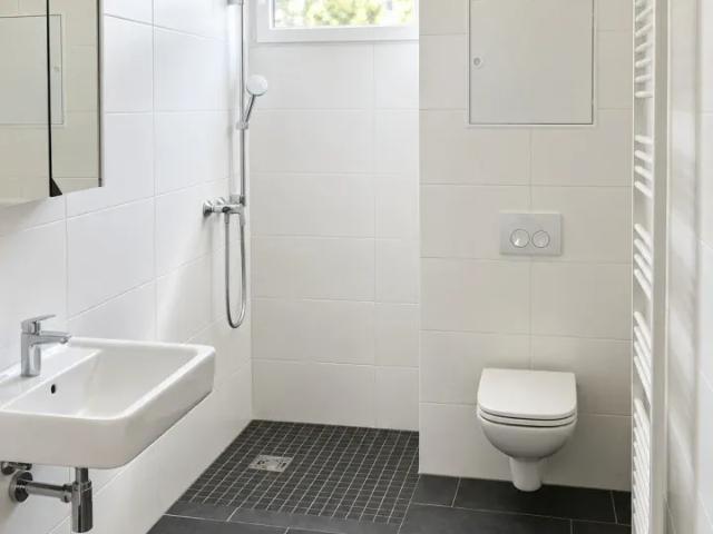 Wohnung mieten in Katastralgemeinde Graz Stadt-St. Veit ob Graz, Graz