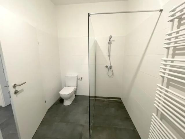 Wohnung mieten in Katastralgemeinde Graz Stadt-St. Veit ob Graz, Graz