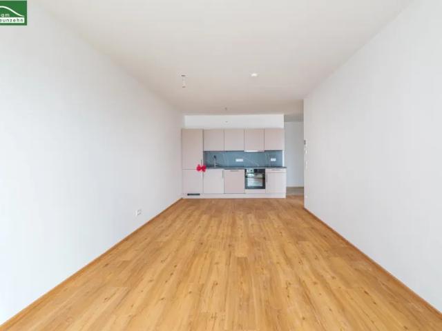Wohnung mieten in Katastralgemeinde Graz Stadt-St. Veit ob Graz, Graz