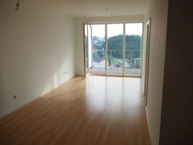 Wohnung mieten in Katastralgemeinde Haag Stadt, Haag