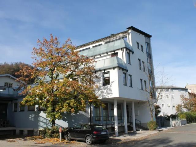 Wohnung mieten in Hallein, Salzburg