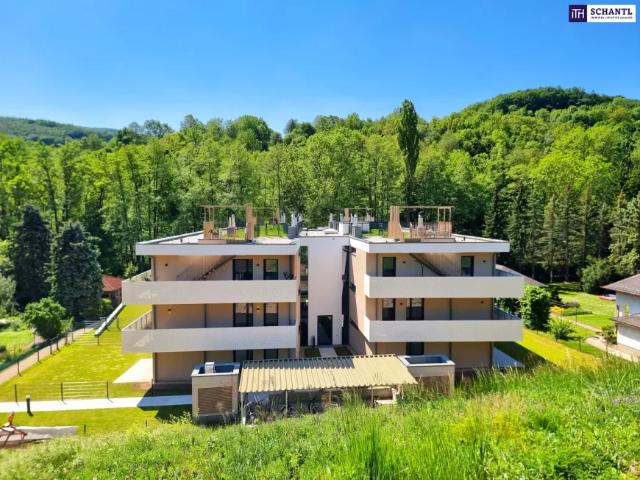 Wohnung mieten in Kaltenleutgeben, Niederösterreich