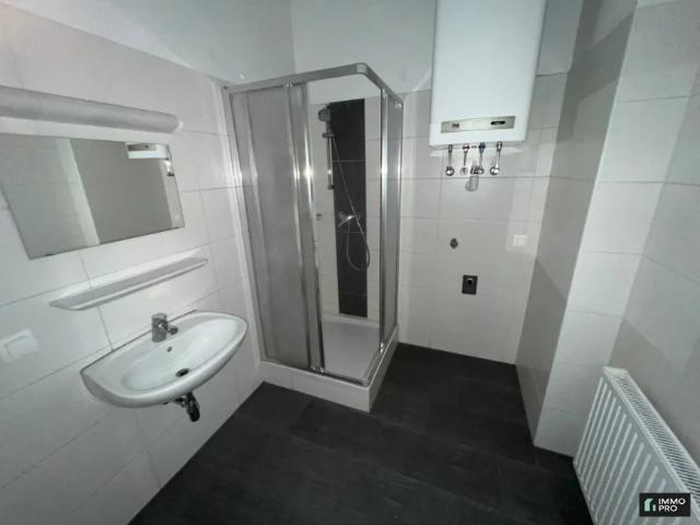 Wohnung mieten in Leoben