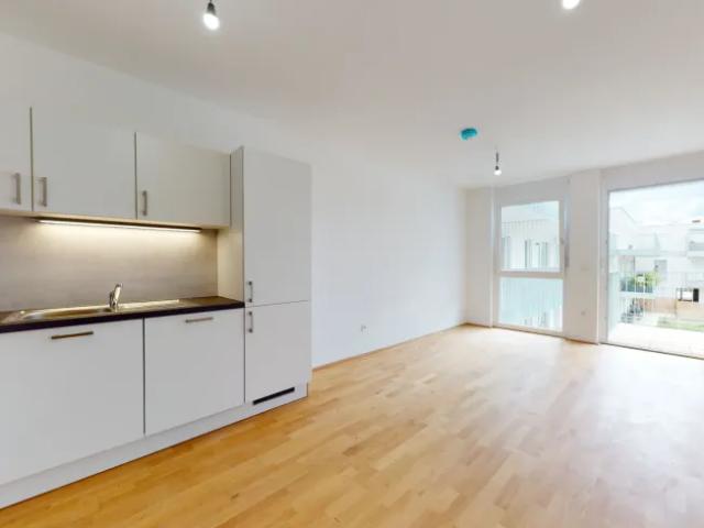 Wohnung mieten in Leopoldsdorf im Marchfelde, Niederösterreich