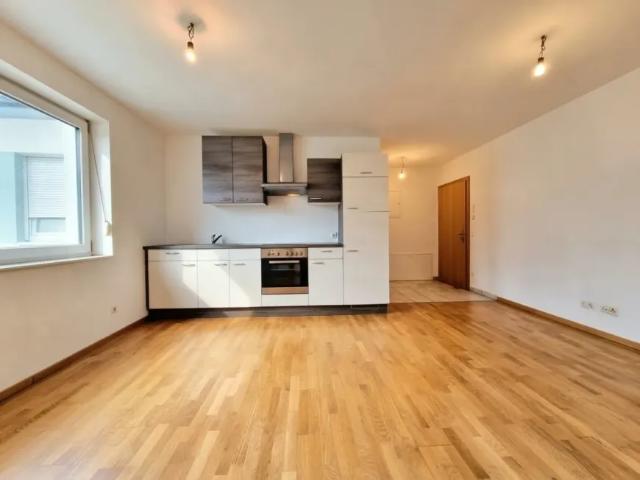 Wohnung mieten in Loosdorf, Fallbach