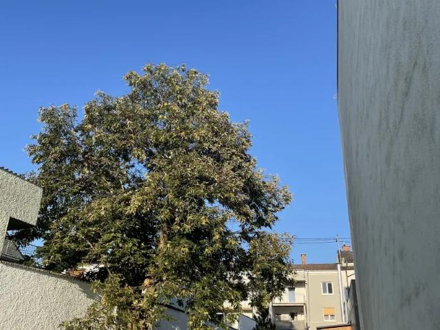 Wohnung mieten in Mattighofen, Oberösterreich