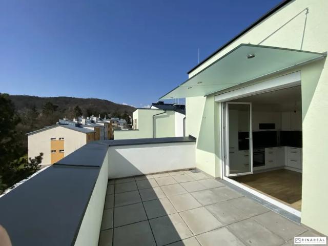 Wohnung mieten in Mödling, Niederösterreich