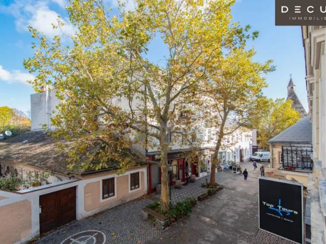 Wohnung mieten in Mödling, Bezirk Mödling