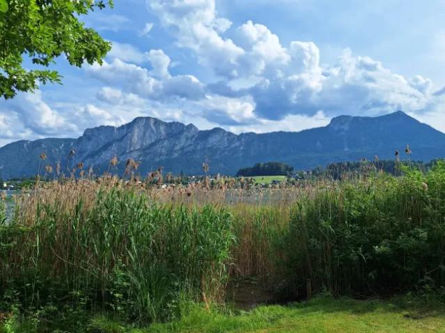 Wohnung mieten in Mondsee, Oberösterreich