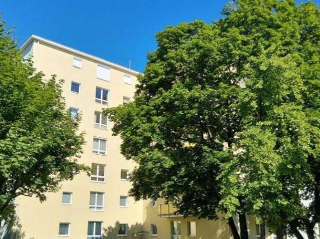 Wohnung mieten in Vorderbrühl, Mödling