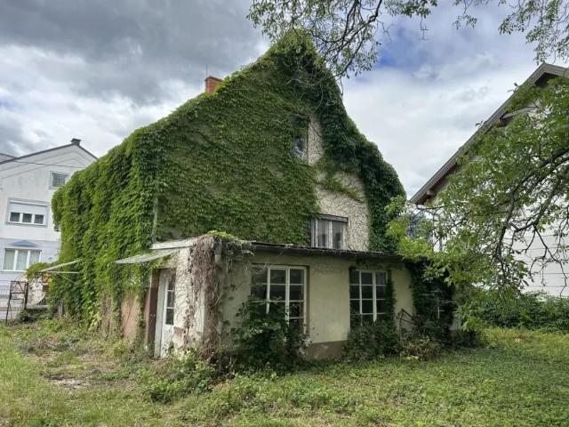 Wohnung mieten in Oberpullendorf, Burgenland