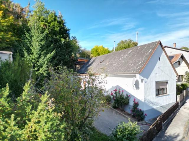 Wohnung mieten in Katastralgemeinde Oberpullendorf, Oberpullendorf/Felsőpulya
