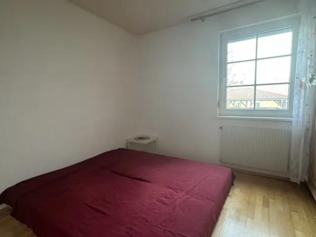 Wohnung mieten in Orth an der Donau, Niederösterreich