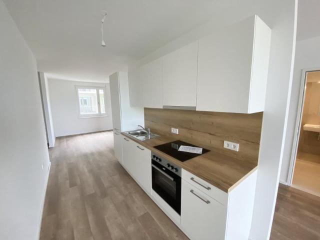Wohnung mieten in Pixendorf, Michelhausen