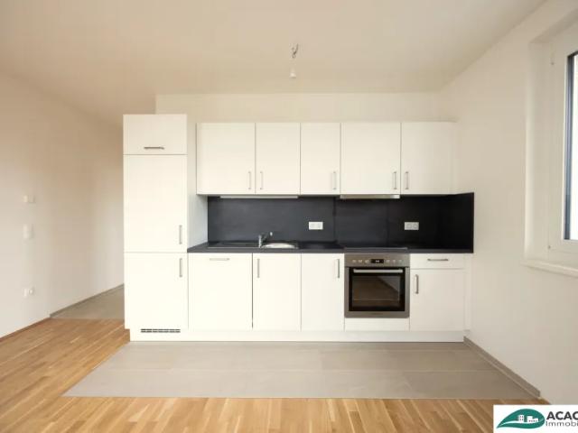 Wohnung mieten in Michelhausen, Niederösterreich