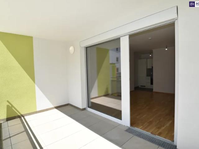 Wohnung mieten in Schwechat, Niederösterreich