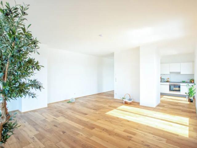 Wohnung mieten in Schwechat, Niederösterreich