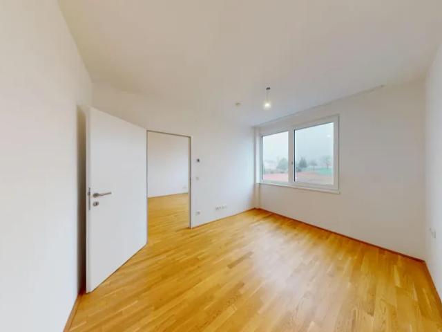 Wohnung mieten in Schwechat, Niederösterreich