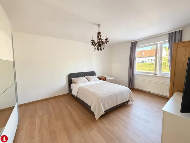 Wohnung mieten in Schwechat, Niederösterreich