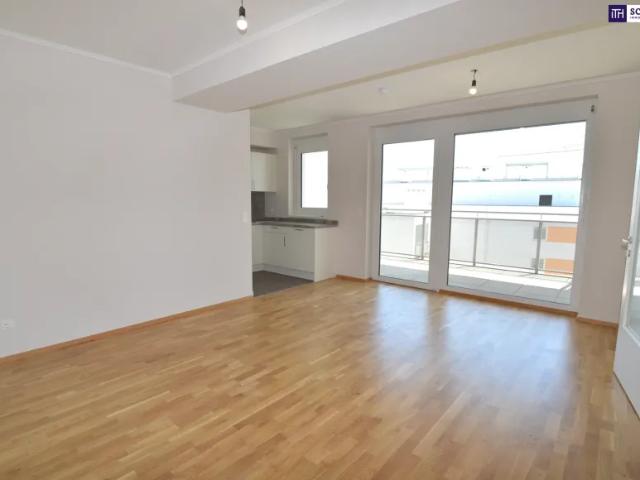 Wohnung mieten in Katastralgemeinde Schwechat, Schwechat