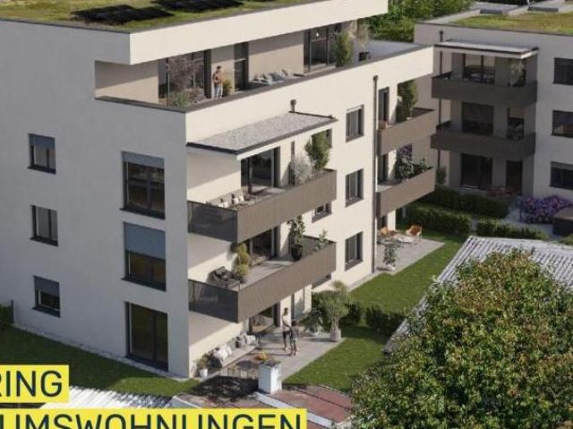 Wohnung mieten in Kaindorf an der Sulm