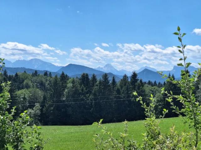 Wohnung mieten in Thalgau