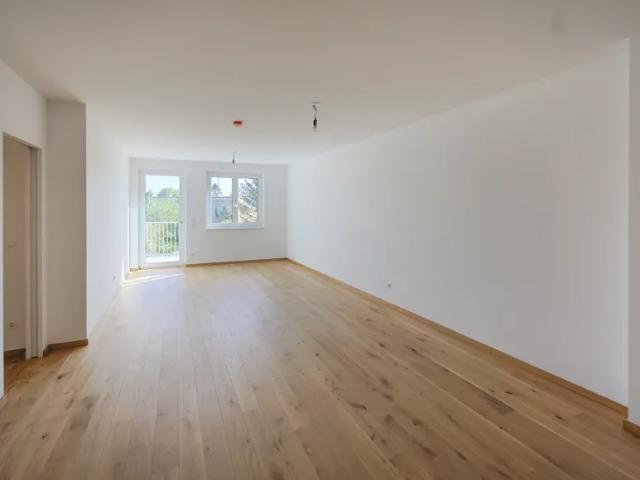 Wohnung mieten in Bezirk Tulln, Niederösterreich