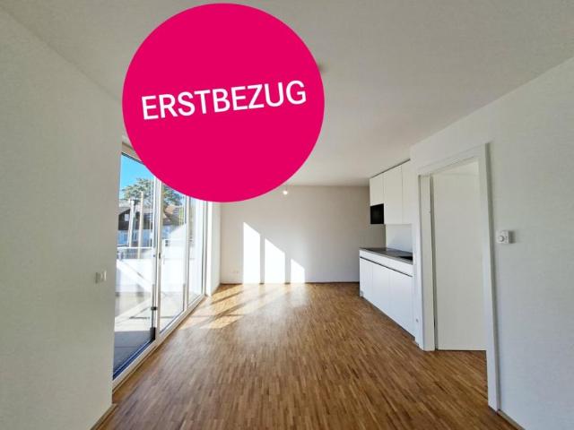 Wohnung mieten in Wien