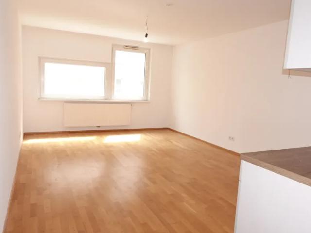 Wohnung mieten in Donaustadt, Wien