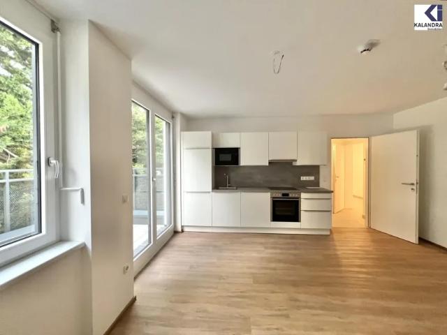Wohnung mieten in Donaustadt, Wien