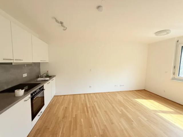 Wohnung mieten in Donaustadt, Wien