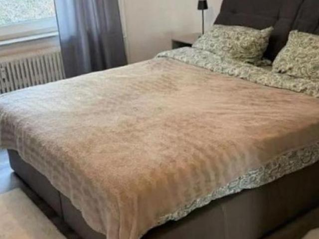Wohnung mieten in Innere Stadt, Wien