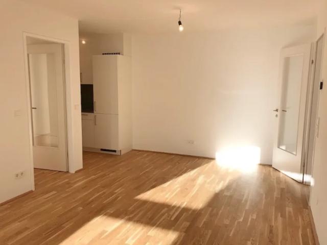 Wohnung mieten in Donaustadt, Wien