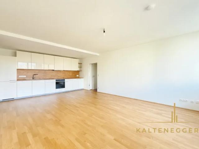 Wohnung mieten in Donaustadt, Wien