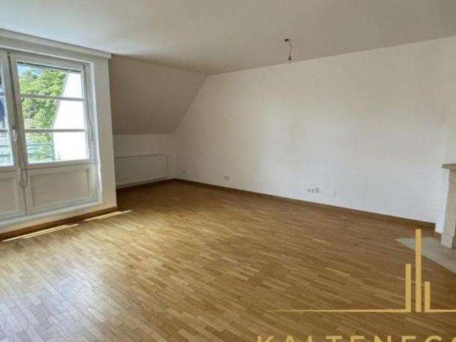 Wohnung mieten in Innere Stadt, Wien