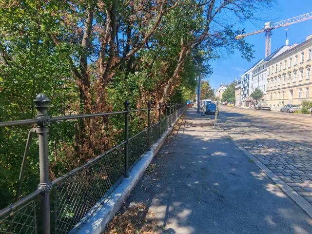 Wohnung mieten in Seestadt, Wien