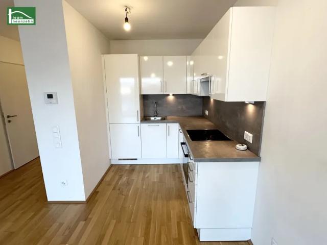 Wohnung mieten in Seestadt, Wien