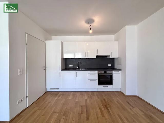 Wohnung mieten in Seestadt, Wien