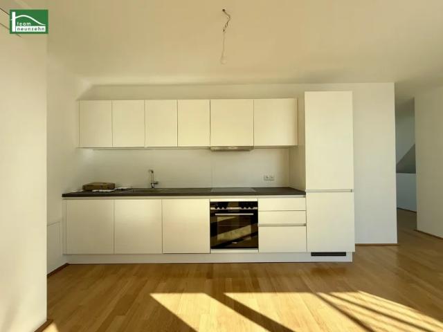 Wohnung mieten in Seestadt, Wien