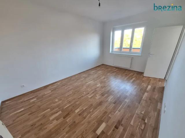 Wohnung mieten in Seestadt, Wien
