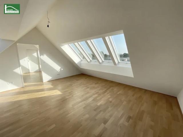 Wohnung mieten in Seestadt, Wien