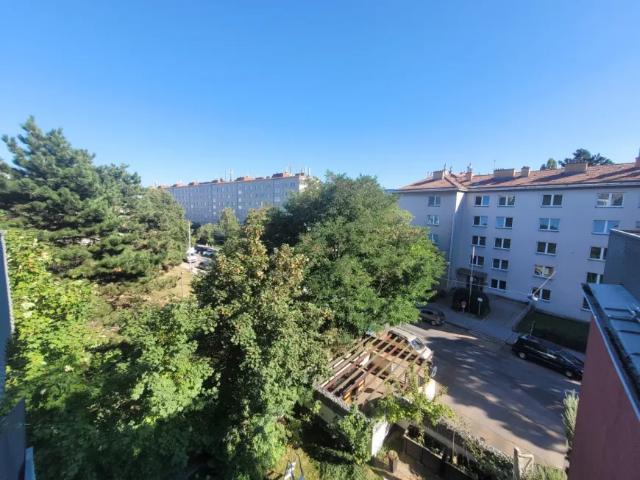 Wohnung mieten in Seestadt, Wien