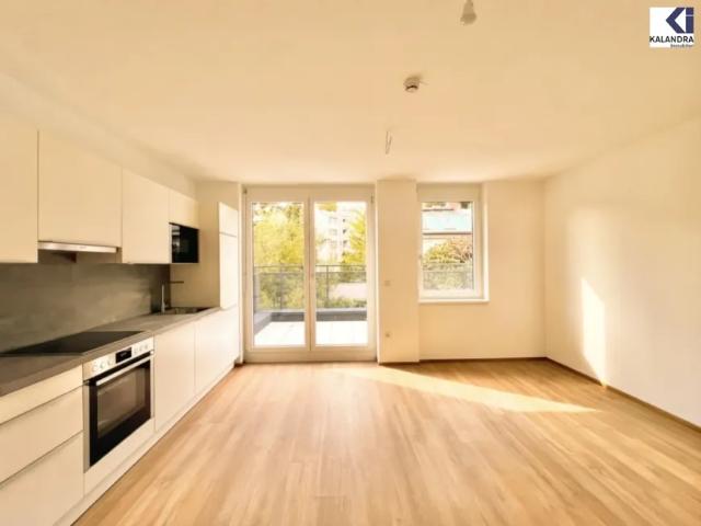 Wohnung mieten in Seestadt, Wien